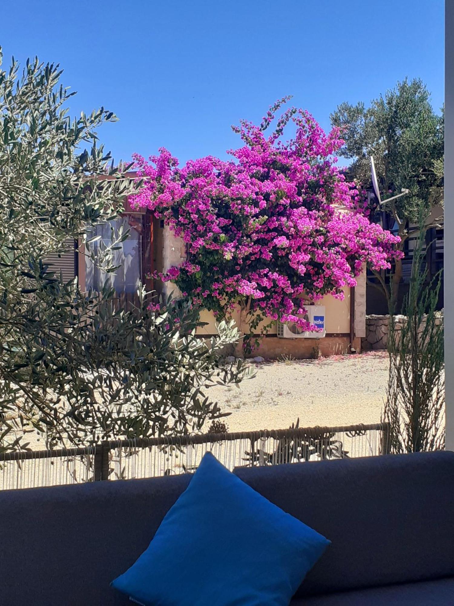 Eden Lady Mobile Home, Croatia, Drage Extérieur photo